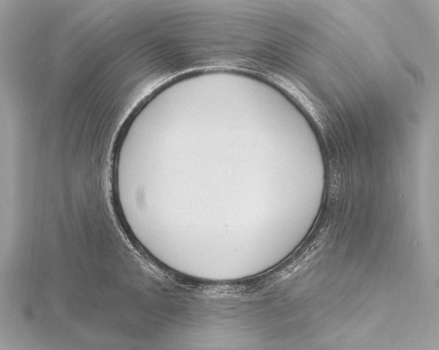 X0000115531093200912040944