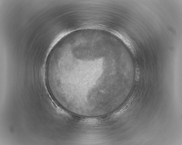 X0000115531094200912040944