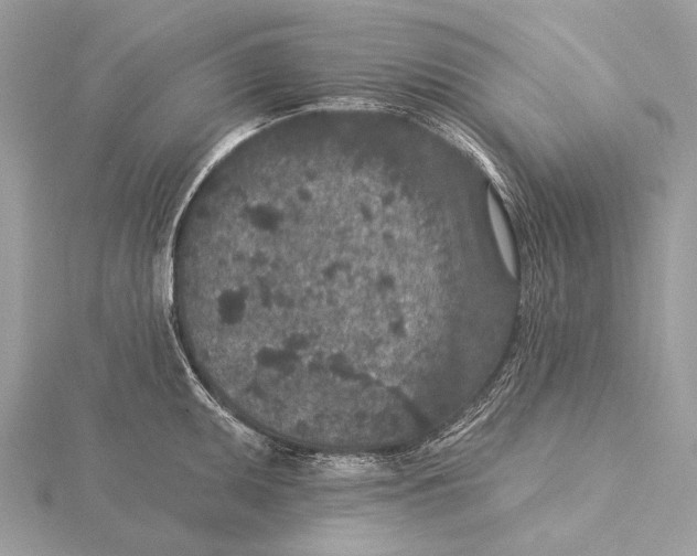 X0000115531095200912040944