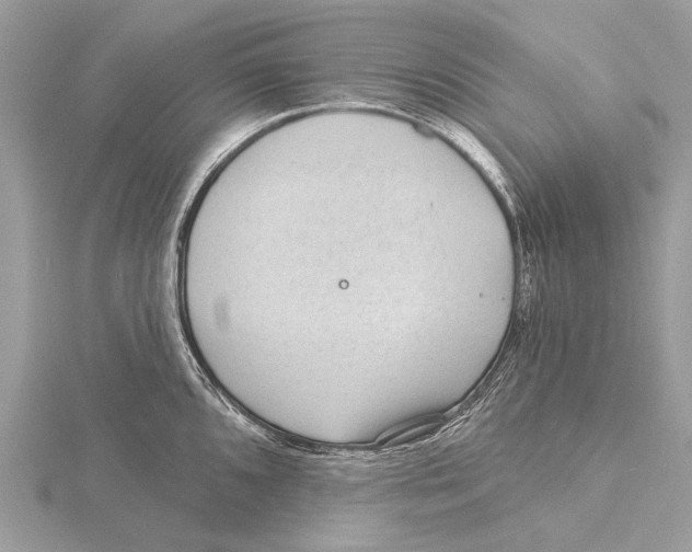 X0000115531096200912040944