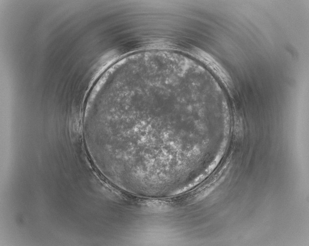 X0000115531097200912040944