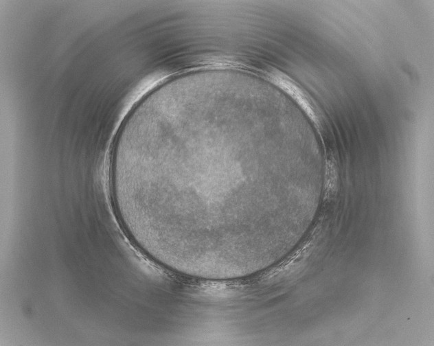 X0000115531098200912040944