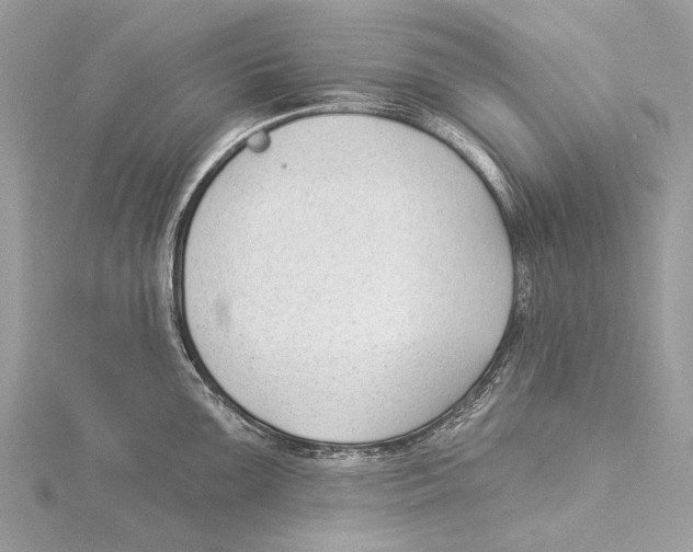 X0000115531099200912040944