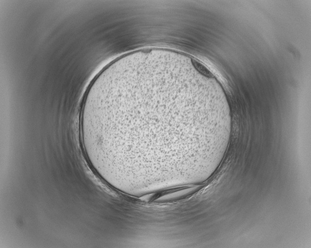 X0000115531100200912040944