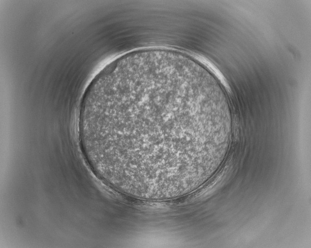 X0000115531101200912040944