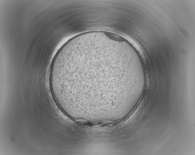 X0000115531102200912040944