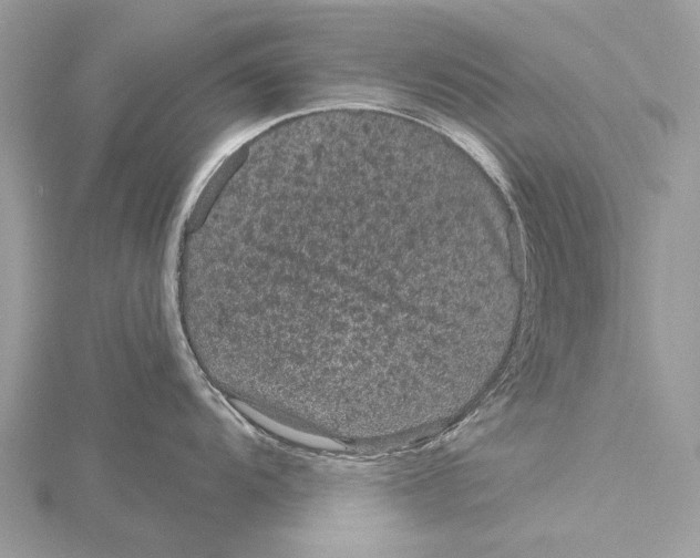 X0000115531104200912040944