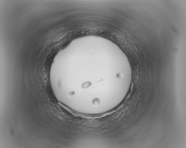 X0000115531109200912040944