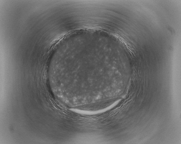 X0000115531110200912040944