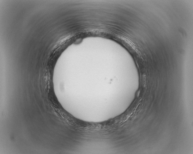 X0000115531111200912040944