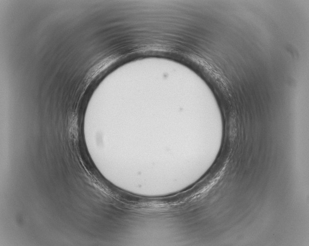 X0000115531113200912040944