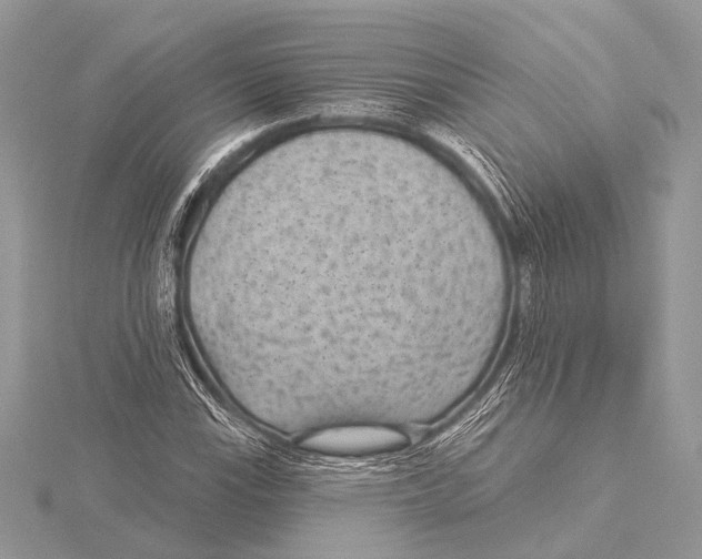 X0000115531115200912040944