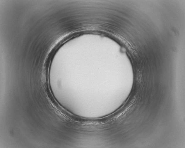 X0000115531118200912040944