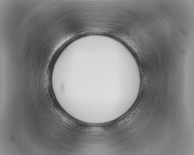 X0000115531119200912040944