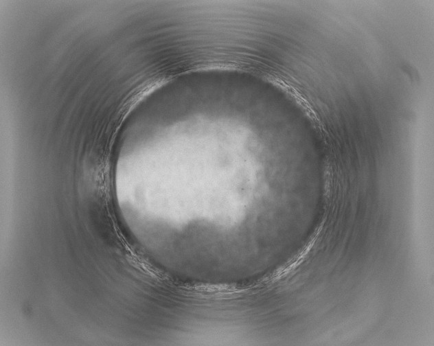 X0000115531121200912040944