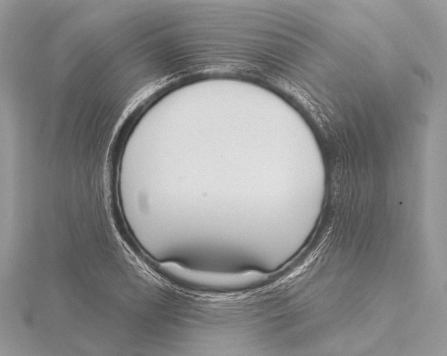 X0000115531122200912040944