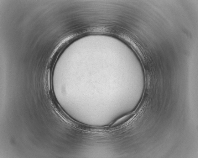 X0000115531123200912040944