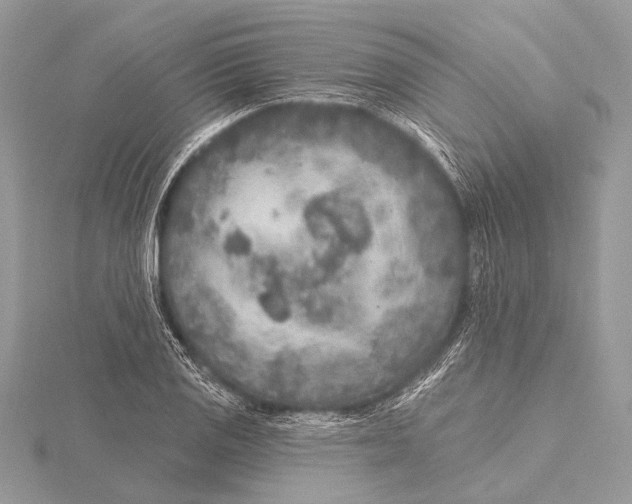 X0000115531125200912040944