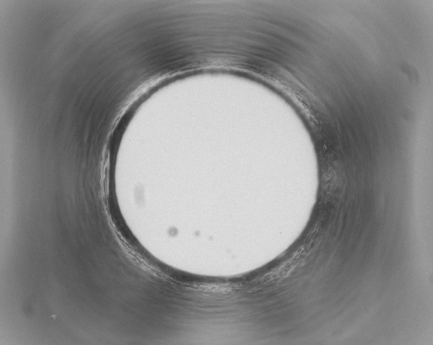 X0000115531126200912040944