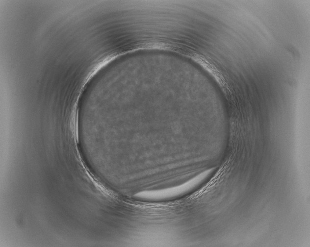 X0000115531127200912040944