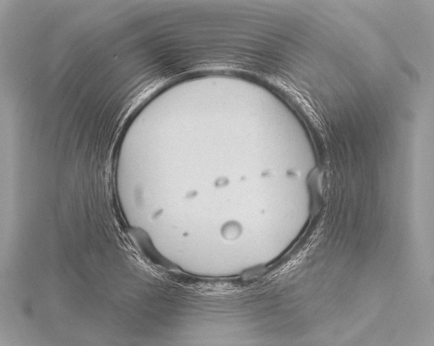 X0000115531129200912040944