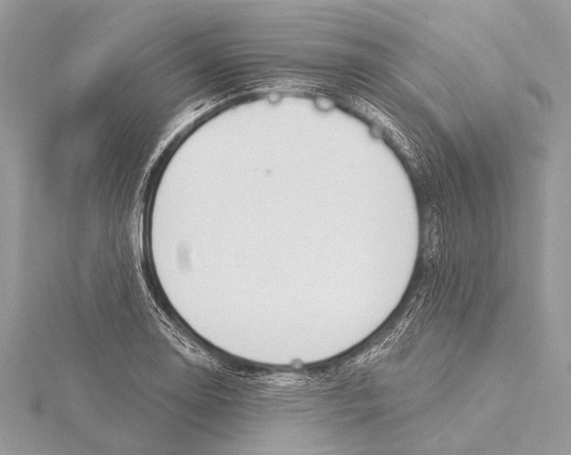 X0000115531130200912040944