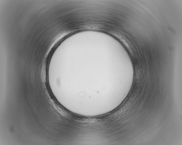 X0000115531131200912040944