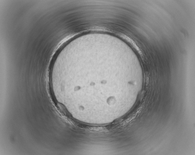 X0000115531133200912040944