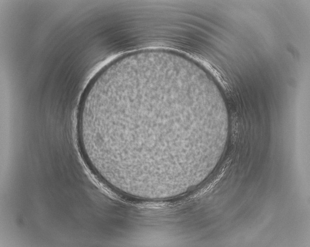 X0000115531134200912040944