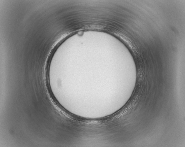 X0000115531135200912040944