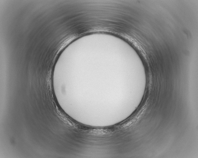 X0000115531137200912040944