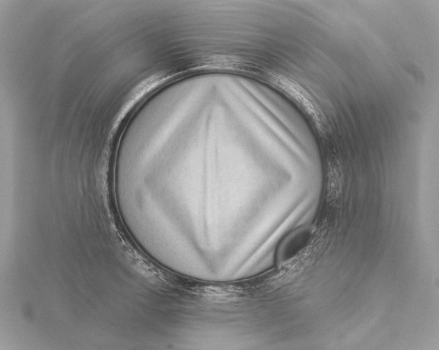 X0000115531138200912040944