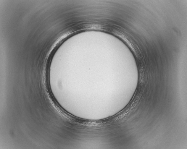 X0000115531139200912040944