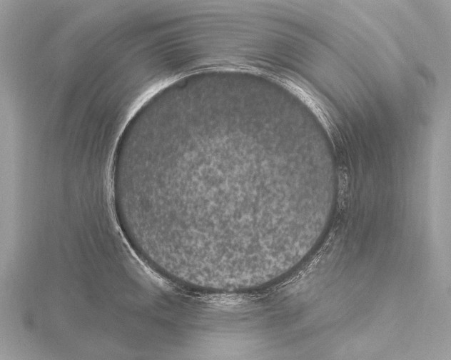 X0000115531141200912040944