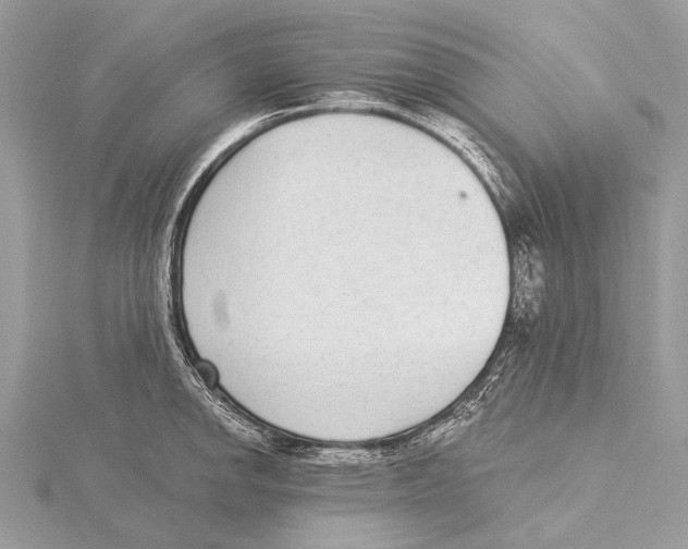 X0000115531142200912040944