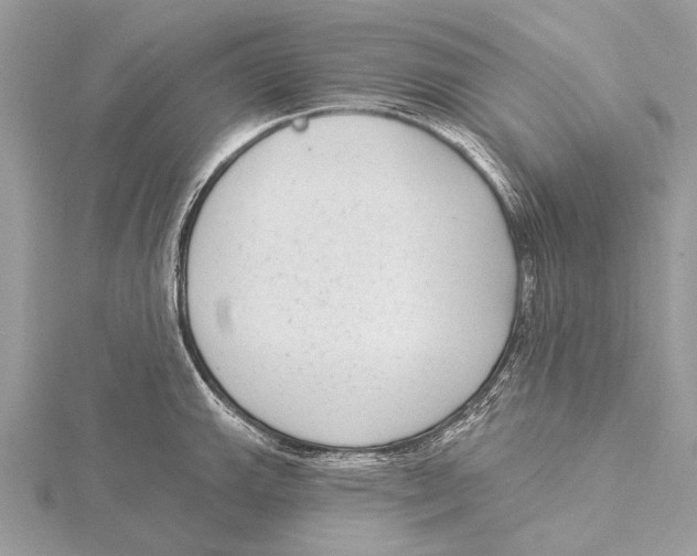 X0000115531143200912040944