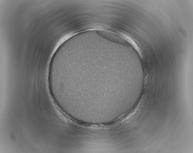 X0000115531146200912040944