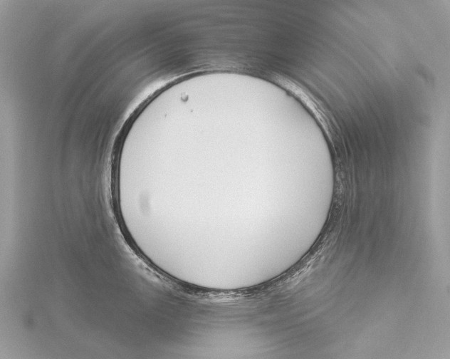 X0000115531147200912040944