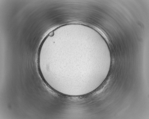 X0000115531149200912040944