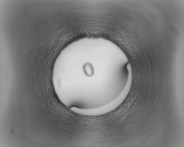 X0000115531153200912040944