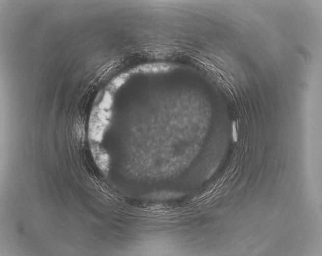 X0000115531155200912040944