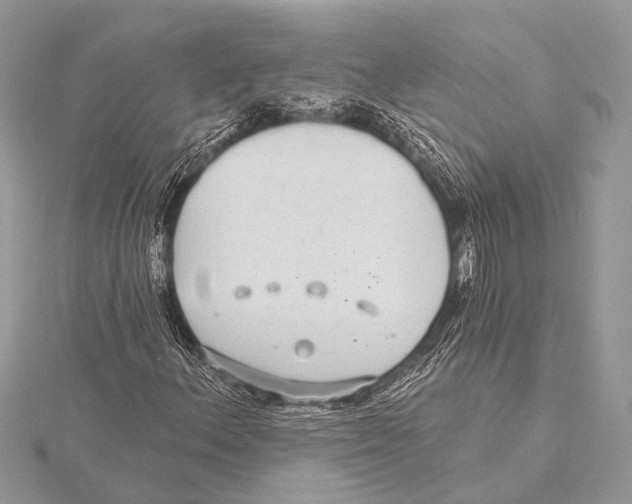 X0000115531156200912040944