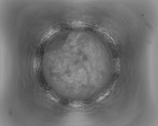 X0000115531157200912040944