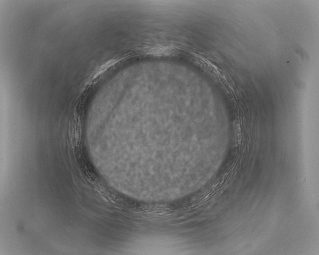 X0000115531158200912040943