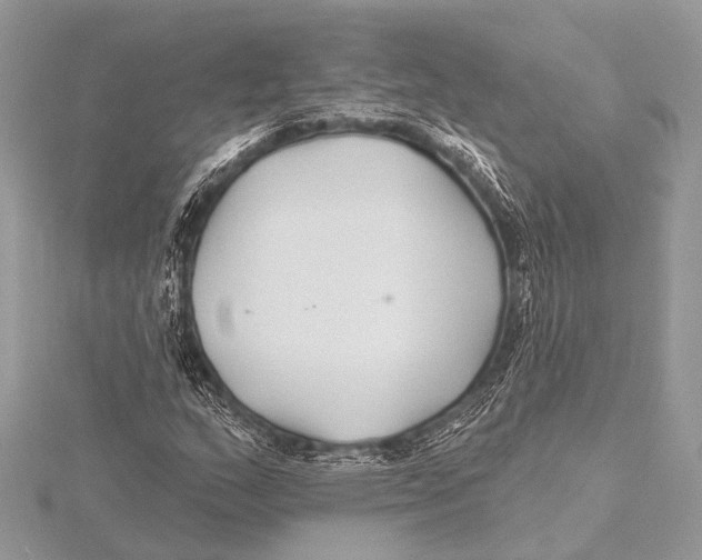 X0000115531159200912040943