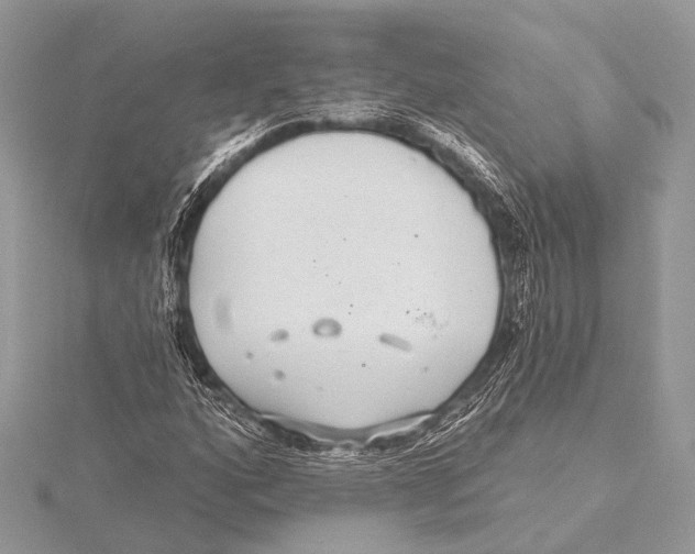 X0000115531160200912040943