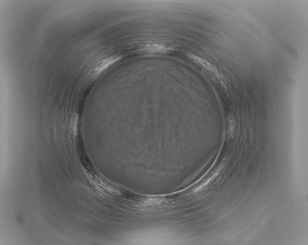 X0000115531161200912040943