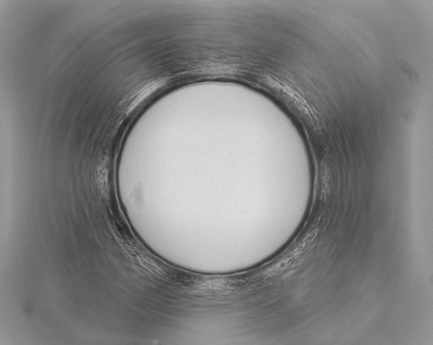 X0000115531162200912040943