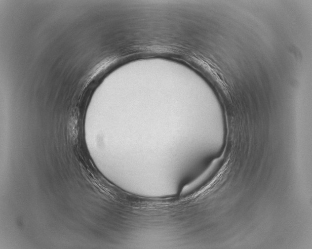 X0000115531163200912040943