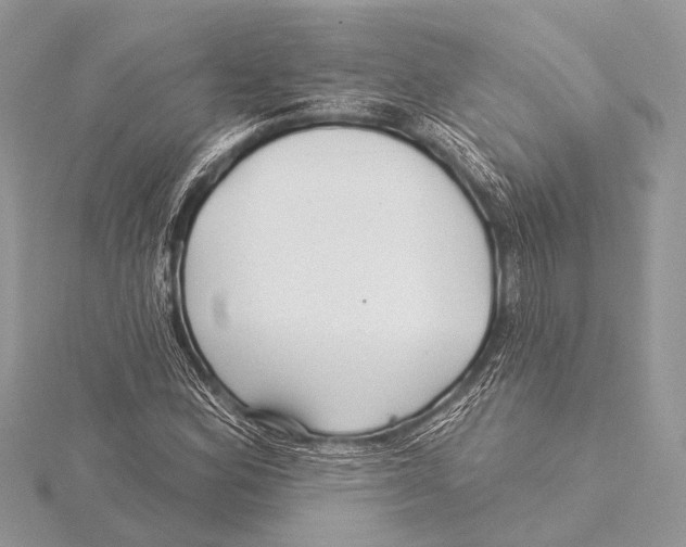 X0000115531164200912040943